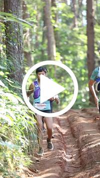 BIB:  <button type="button" onclick="openModal(26569652)" class="btn btn-primary btn-sm float-right" data-toggle="modal" data-target=".modal-high-quality">
                <i class="fa fa-download"></i> Download
                </button>